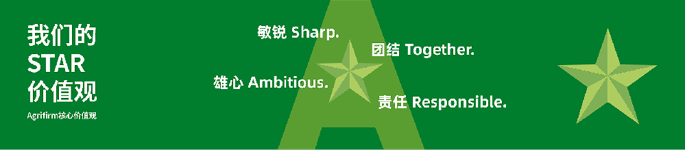 矢量智能对象-1.png
