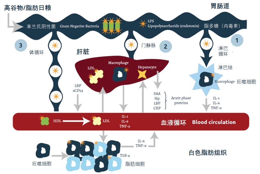微信图片_20250415162930.png