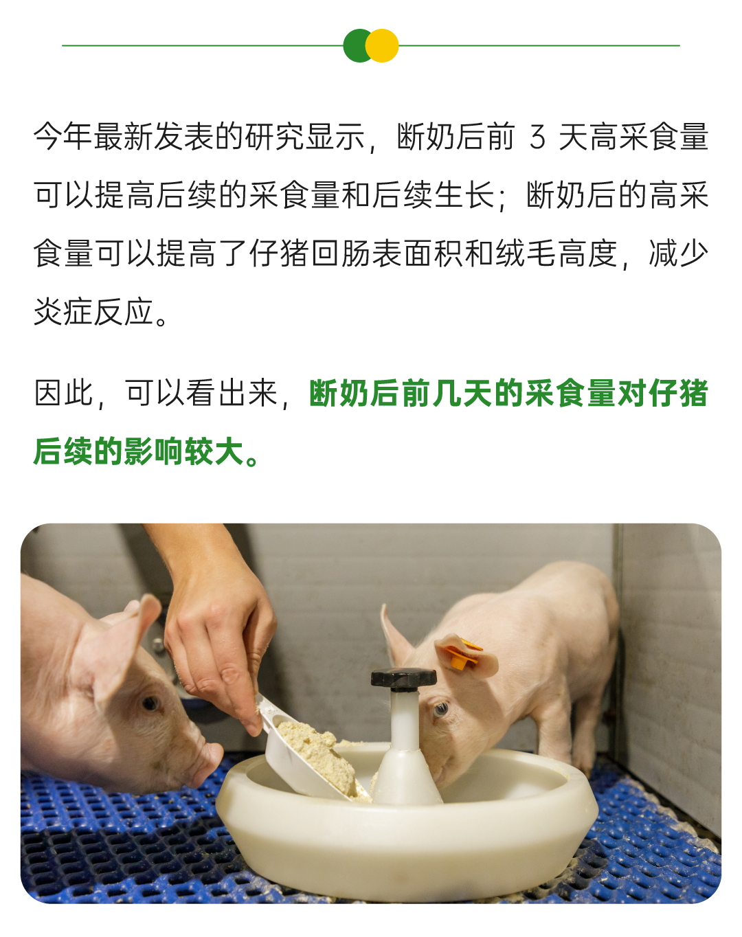 微信图片_20250423135214.png