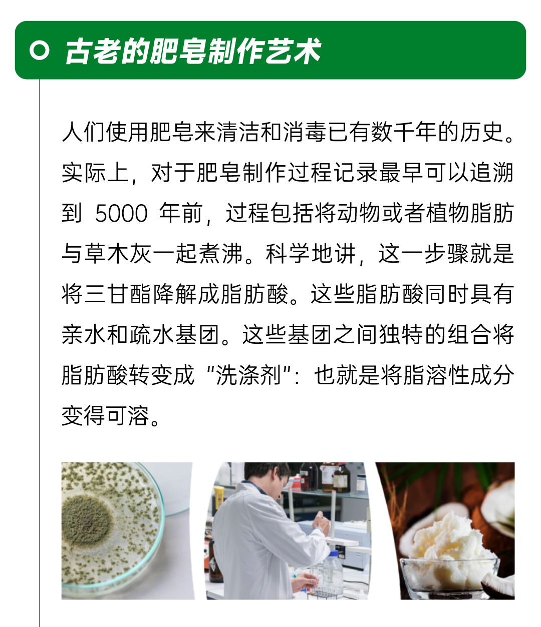 微信图片_20250423140525.png