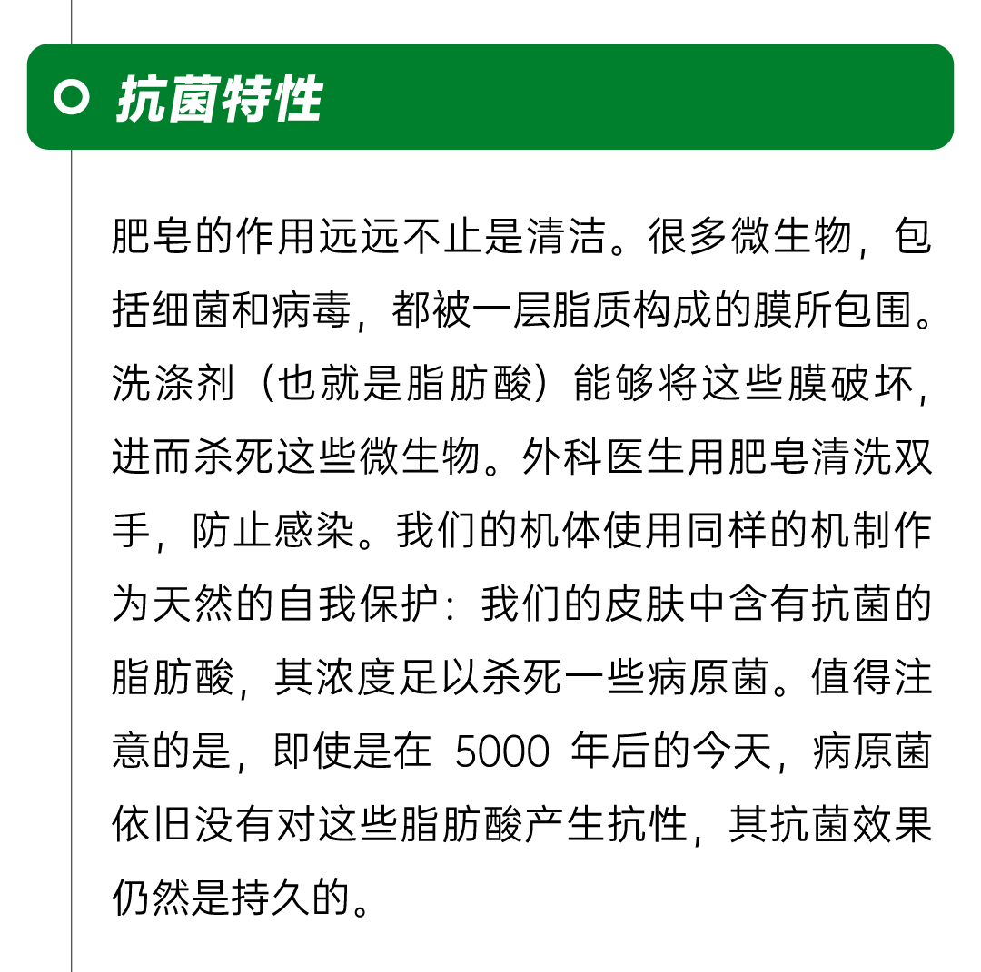 微信图片_20250423140536.png