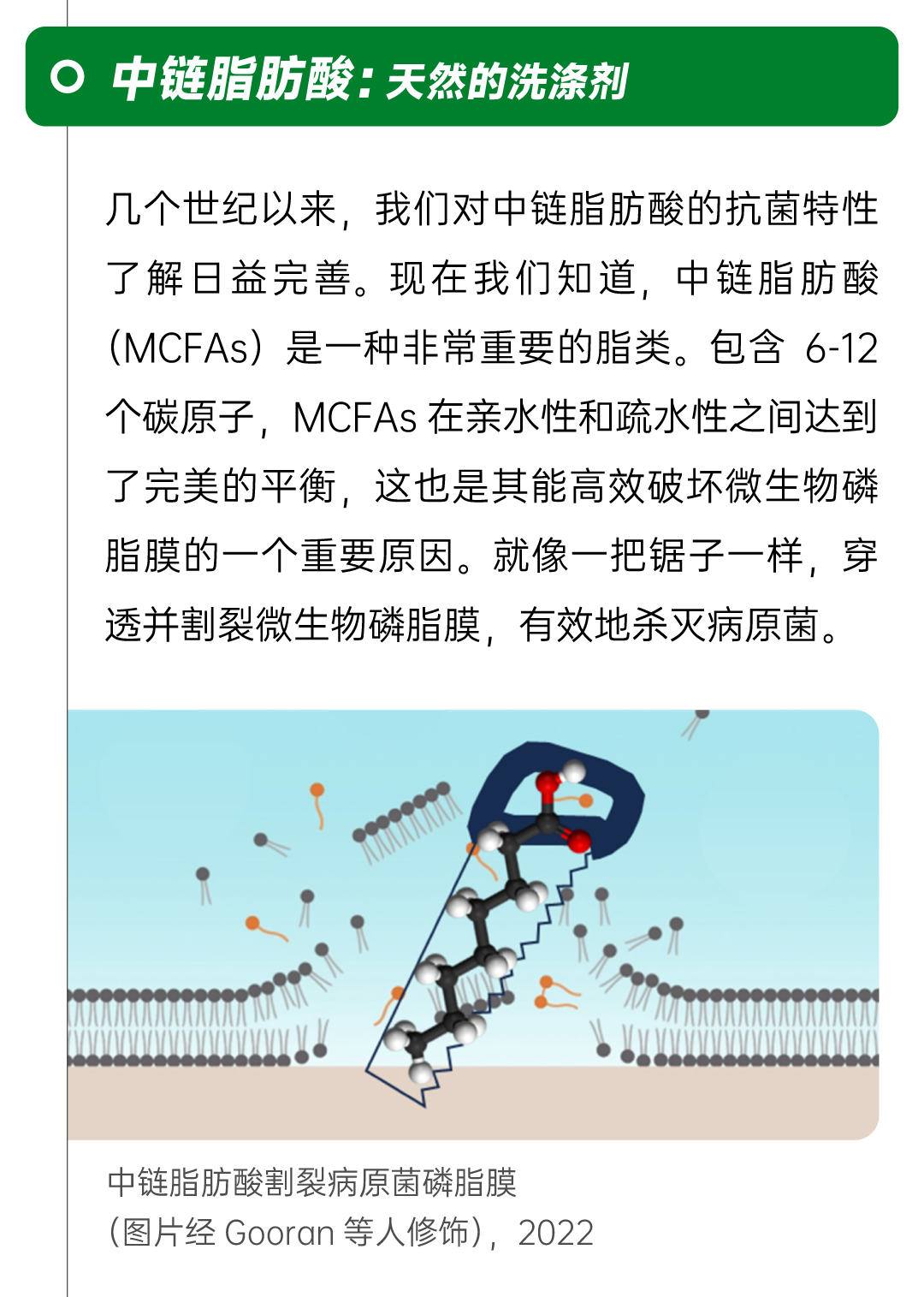 微信图片_20250423140750.png