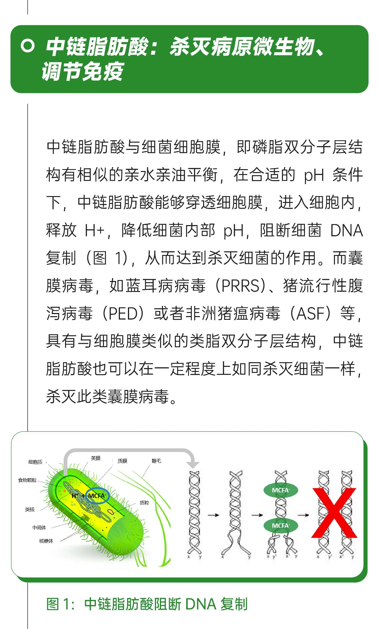 微信图片_20250423155545.jpg