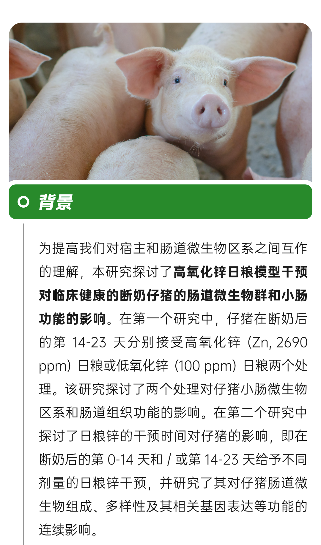 微信图片_20250423170615.png