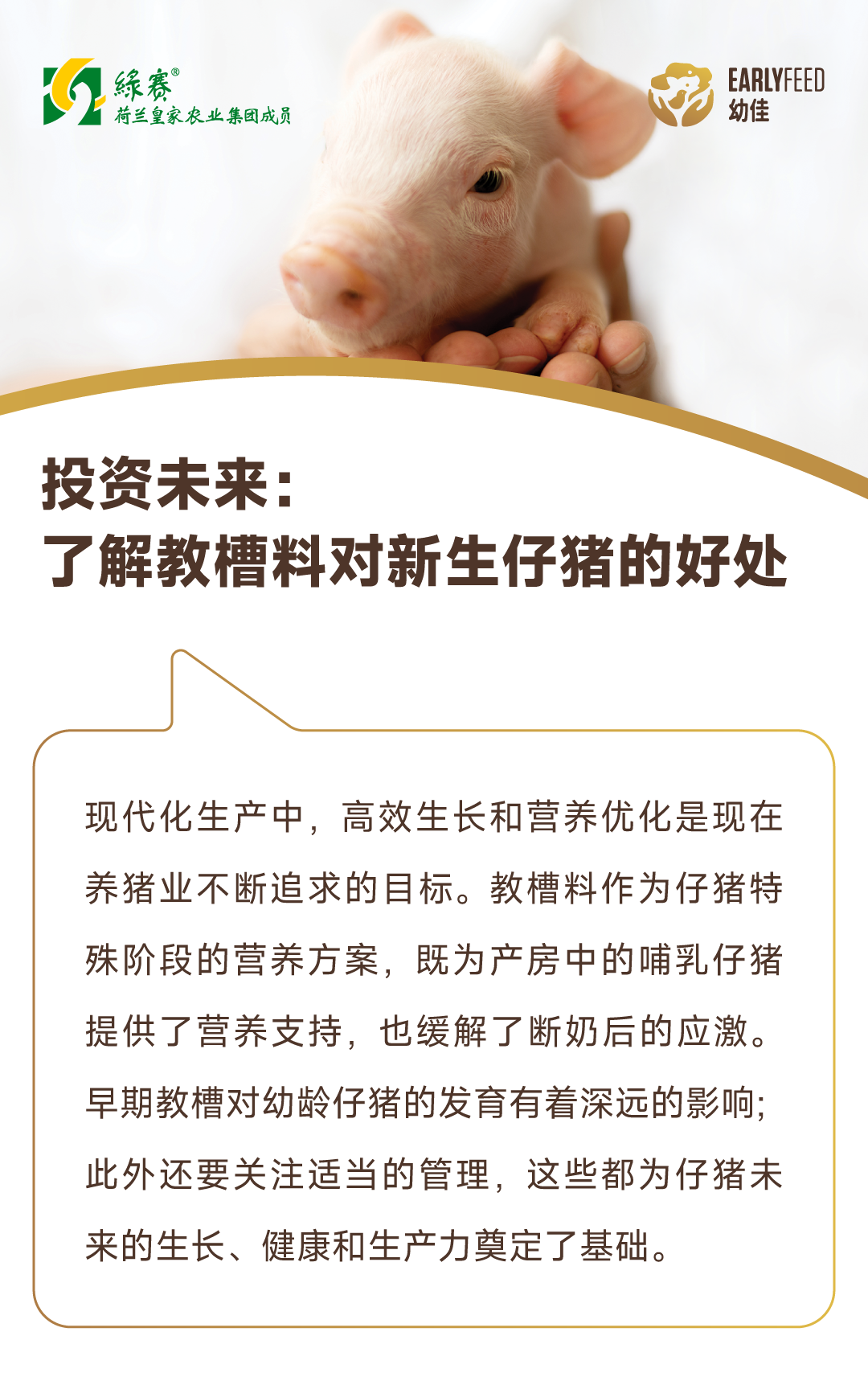 微信图片_20250425141840.png