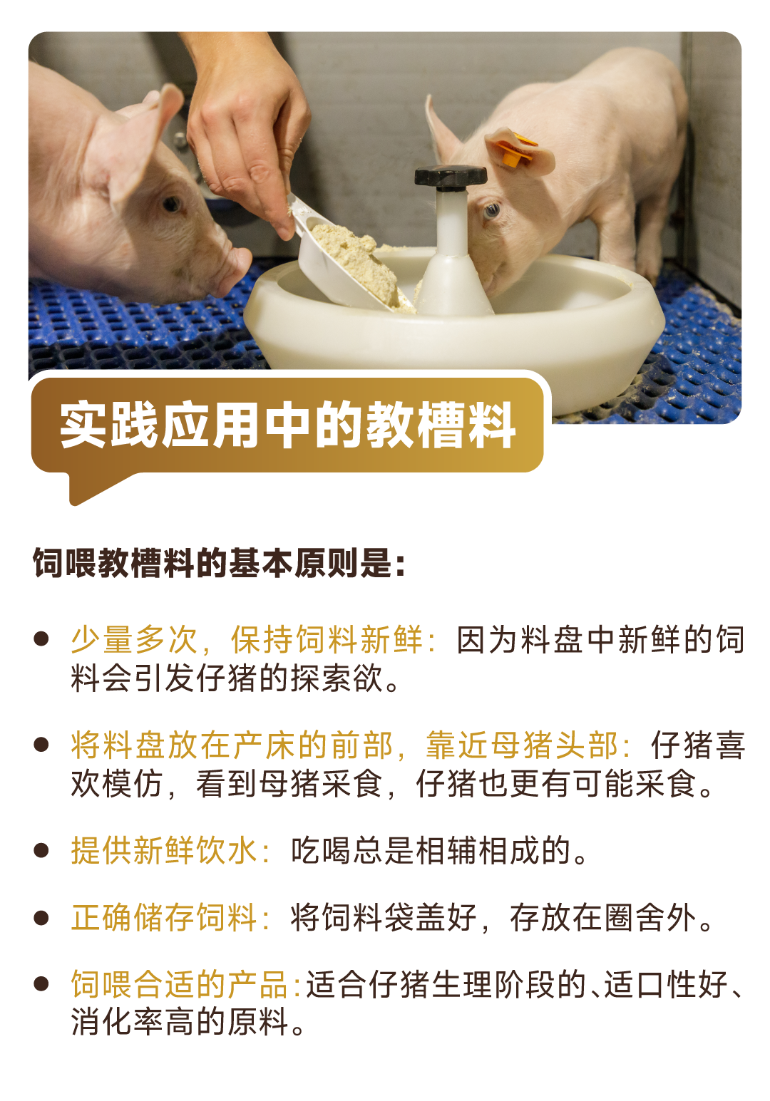微信图片_20250425142003.png