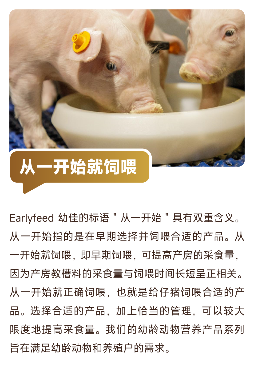 微信图片_20250425142013.png