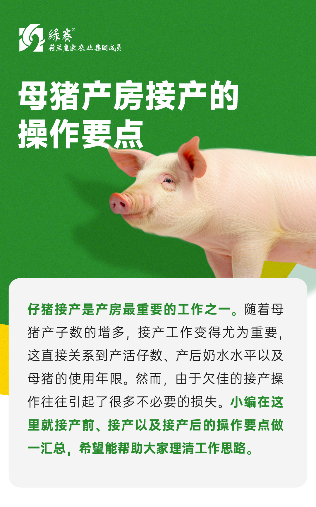 微信图片_20250425143710.png
