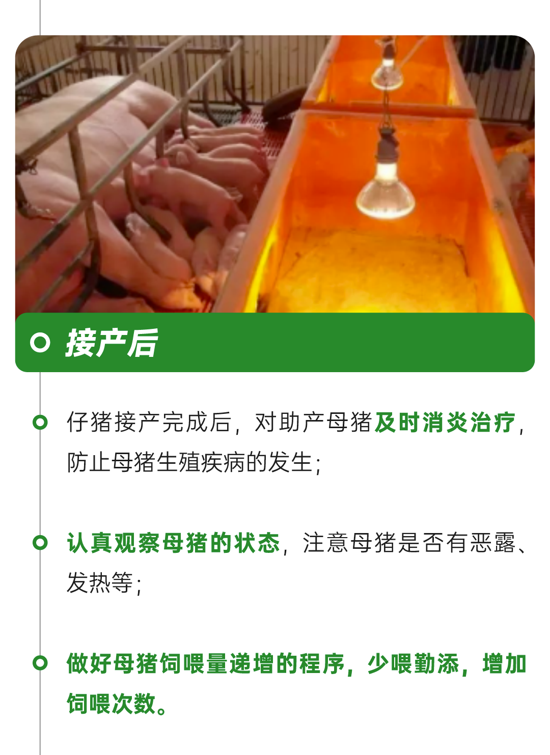 微信图片_20250425143851.png