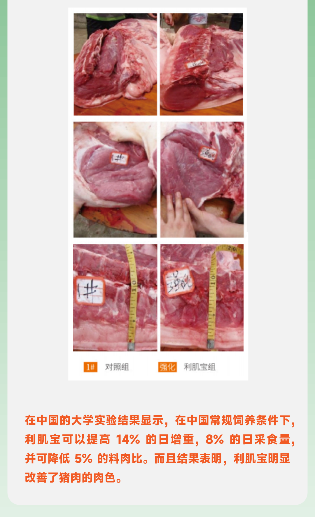 微信图片_20250425144453.png