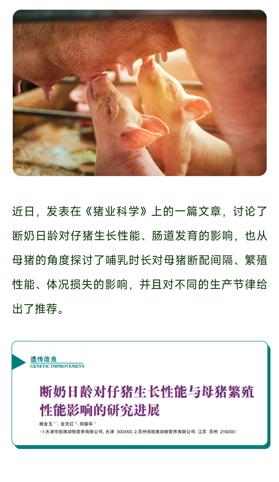 微信图片_20250425145030.png