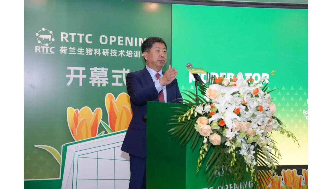 网站内容封面图片模板.jpg