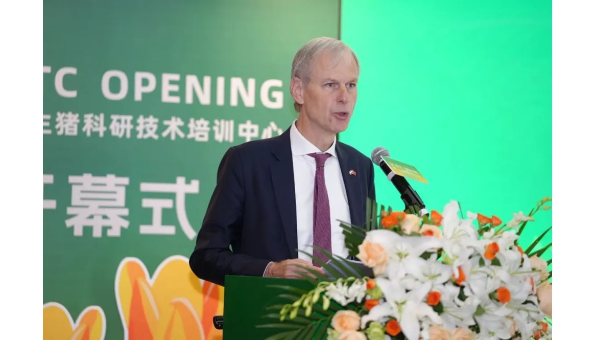 网站内容封面图片模板.jpg