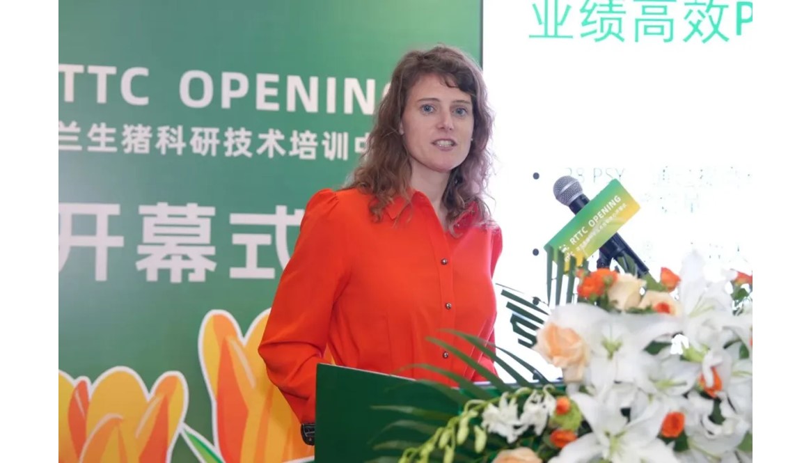 网站内容封面图片模板.jpg