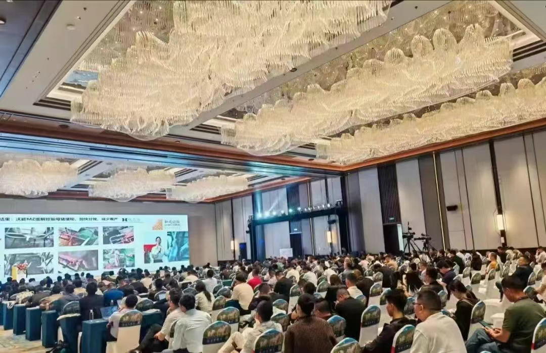 微信图片_20250612140311.png