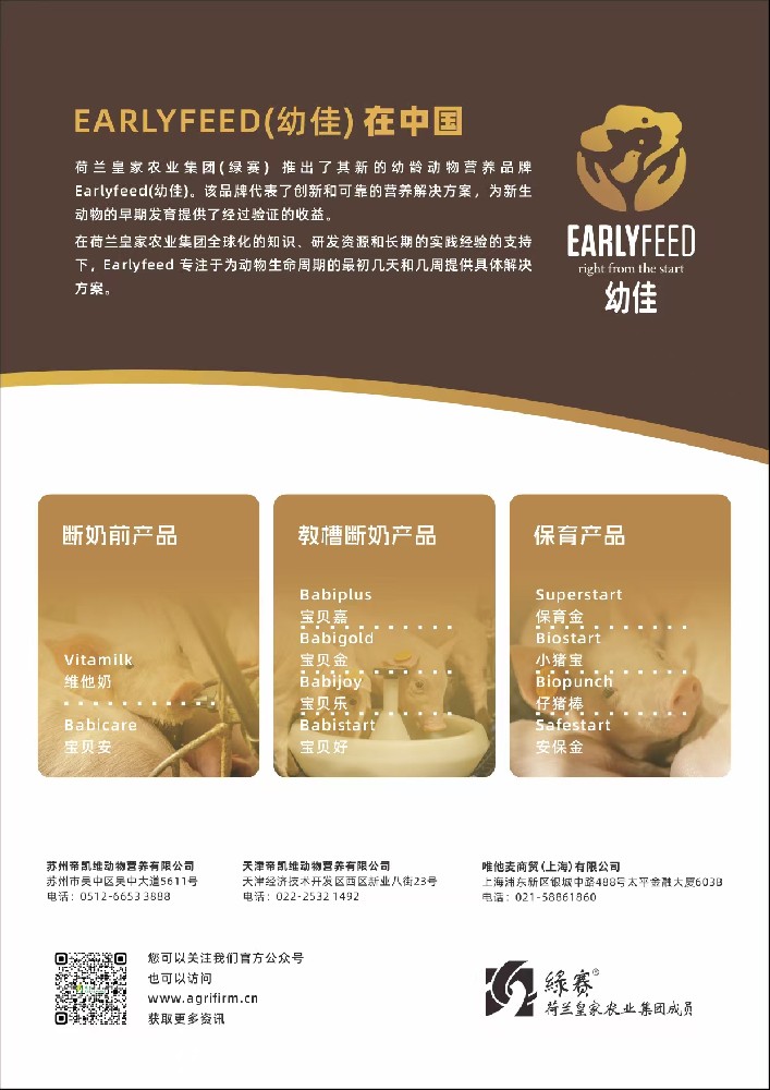 Early Feed 幼佳.jpg