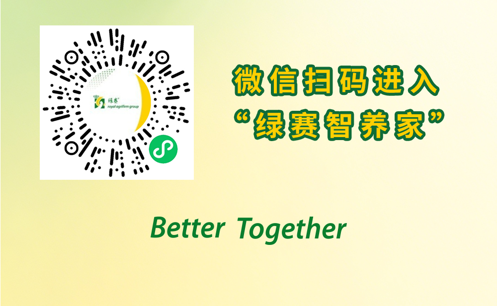 上线长图文9_09.jpg